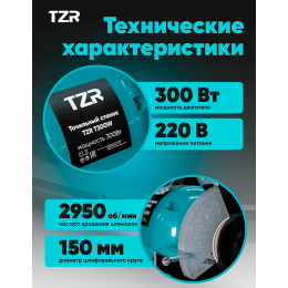 Станок точильный TZR T300W