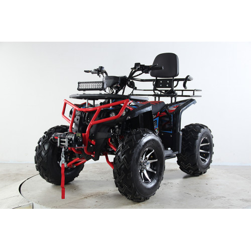 Квадроцикл TZR DEFENDER 200