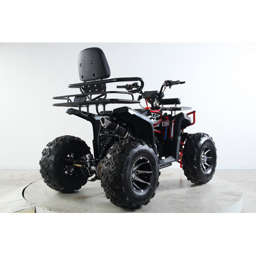 Квадроцикл TZR DEFENDER 200