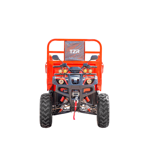 Грузовой квадроцикл TZR FARMER 250