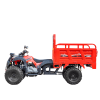 Грузовой квадроцикл TZR FARMER 250